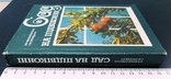 Сад на підвіконні.1990 г, фото №3