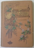 Георг Брандес 11-12 тома. 1902 год. Киев. (0224), фото №2