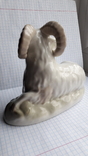 Фарфоровая статуэтка Баран ( Городница), фото №12