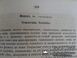 Практическое руководство в гомеопатической медицине Москва 1869 год, фото №7