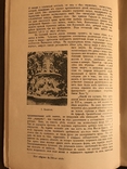 1915 Потревоженные Святыни, фото №10