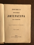 1874 Лютня Потаенная Литература 19 века, фото №3