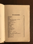 1874 Лютня Потаенная Литература 19 века, фото №4