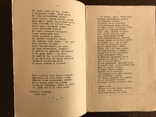 1874 Лютня Потаенная Литература 19 века, фото №6