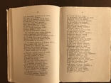 1874 Лютня Потаенная Литература 19 века, фото №7