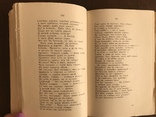 1874 Лютня Потаенная Литература 19 века, фото №12