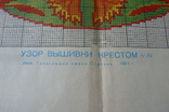 Схема для вышивания крестом (гобеленовым швом), 1956 г. N7, фото №3