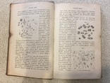 Анализь мочи. 1887 г. Издание Карла Риккера., фото №6