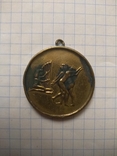 Медаль Египед, фото №3