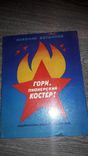 Гори пионерский костёр пионерия Артек Николай Богданов, фото №2