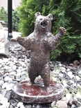 Медведь бронза (Bear bronze), фото №4