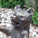 Медведь бронза (Bear bronze), фото №10