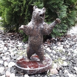 Медведь бронза (Bear bronze), фото №2