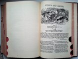  Полное собрание сочинений Уильяма Шекспира с необычным переплётом., фото №7
