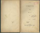 Рідкісне видання 1880 року польською мовою Поезія, фото №3