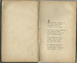 Рідкісне видання 1880 року польською мовою Поезія, фото №4