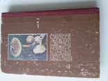 Вассер "Сьедобные и ядовитые грибы Карпат" 1990р., фото №6