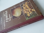 Вассер "Сьедобные и ядовитые грибы Карпат" 1990р., фото №7