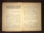 1922 Квіти й бодяче Т. Горобець Нариси з життя, фото №7