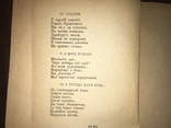 1922 Квіти й бодяче Т. Горобець Нариси з життя, фото №13