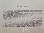 100 фасонов женского платья  Минск  1962  387 с. ил. Большой формат 210х270 мм., фото №4