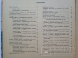 100 фасонов женского платья  Минск  1962  387 с. ил. Большой формат 210х270 мм., фото №10