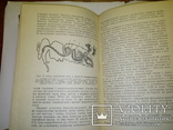 Лікувальні властивості меду і бджолиноі отрути (1960 г), фото №6