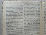 1913 г. Прогресс и бедность в Японии (бюджет семьи), фото №8