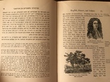 1912 История Америки для евреев Иудаика, фото №12