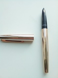 Чернильная ручка, фото №2