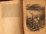 1945 Кирюша из Севастополя Повесть Е. Юнга, фото №12