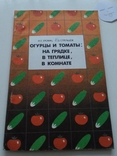 Огурцы и томаты: на грядке, в теплице, в комнате 1989р., фото №2