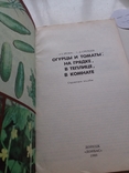 Огурцы и томаты: на грядке, в теплице, в комнате 1989р., фото №3