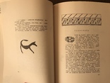 1952 Трипольская Культура Курганы, фото №9