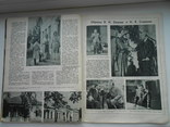 Журнал Огонек Январь 1949 г. № 4, фото №12