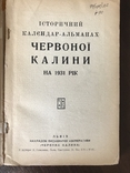 1931 Українське Військо УСС Червона калина, фото №4