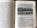 1926 Поволжье Путеводитель, Природа, быт, хозяйство, фото №12