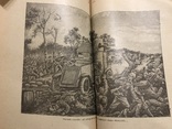 1917 Киевский Польский Календарь с видами Киева, фото №12