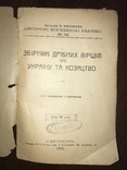 1911 Шевченко про Україну та Козацтво, фото №3