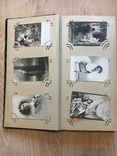 Альбом дореволюционных открыток 240 шт, фото №8