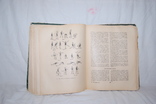 1961 Книга полезных советов. Уход за ребенком, гигиена, дом советы. Ташкент, фото №6