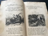 1887 Басни Крылова. Рисунки Панова, фото №5