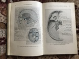 Neuro-ophthalmology, фото №6