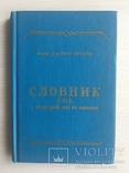 І. Огієнко Словник українських не літературних слів, фото №2