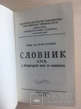 І. Огієнко Словник українських не літературних слів, фото №3