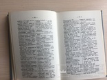 І. Огієнко Словник українських не літературних слів, фото №5