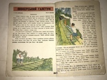 1934 Українське Жовтеня Дитячий Журнал, фото №5