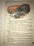 1934 Українське Жовтеня Дитячий Журнал, фото №6
