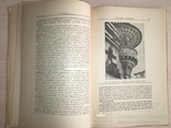 1936 Вопросы синтеза Архитектура Скульптура, фото №9