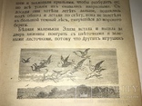 Детская Сказка Дикие Лебеди до 1917 года, фото №10